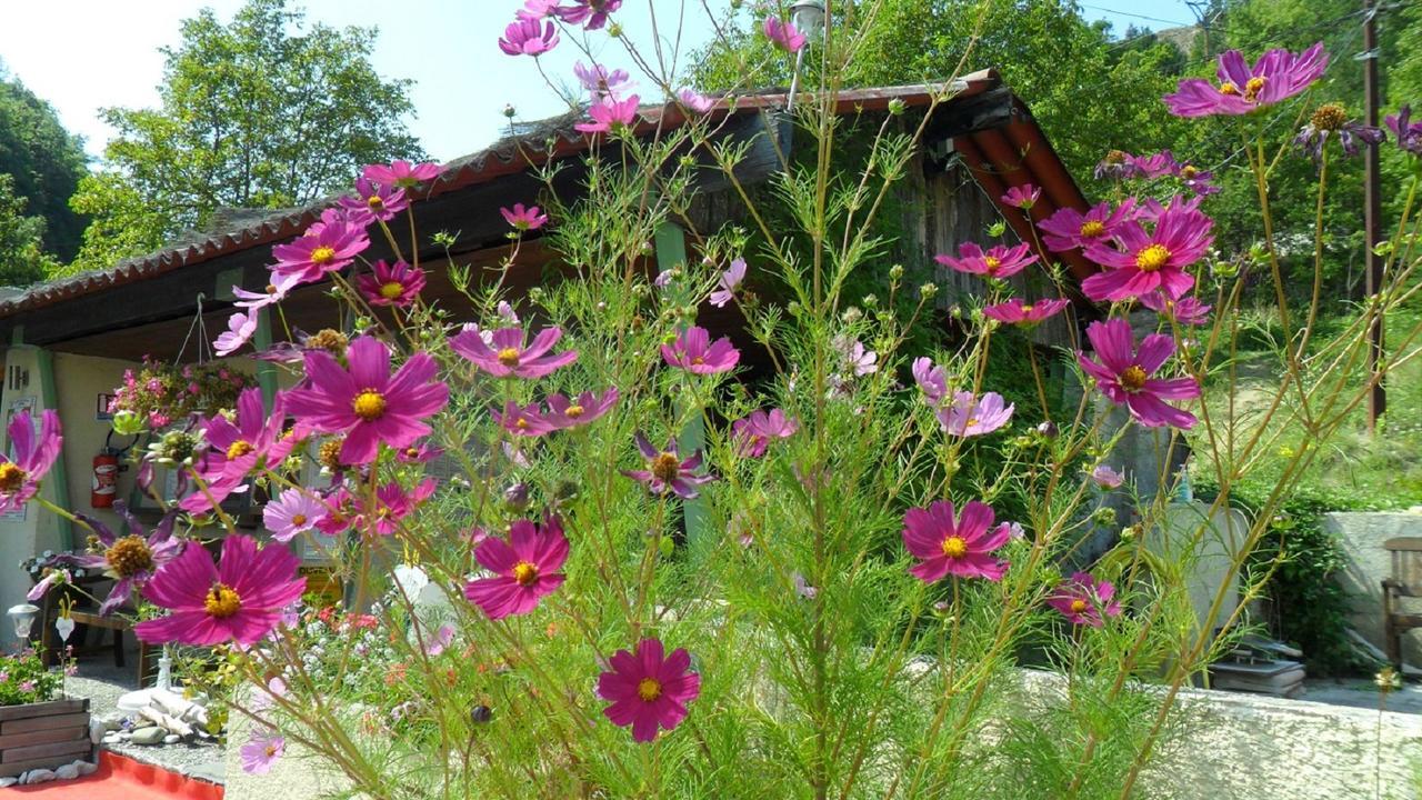 Camping Panoramique Du Verdon Castellane Luaran gambar